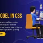 CSS Box Model