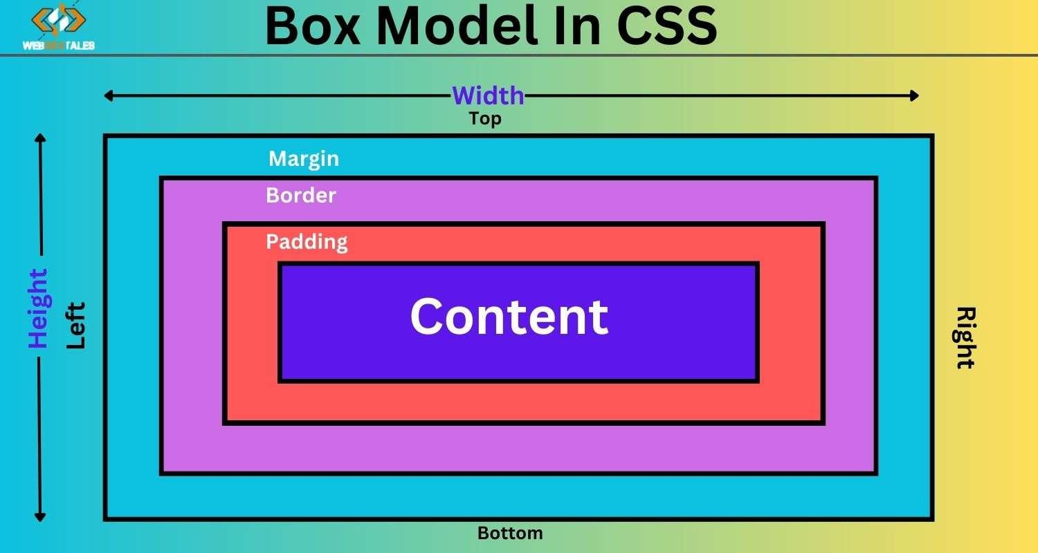 The Box Model in CSS: Complete Guide to Content, Padding, Margin, Width ...
