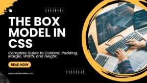 Read more about the article The Box Model in CSS: Complete Guide to Content, Padding, Margin, Width, and Height