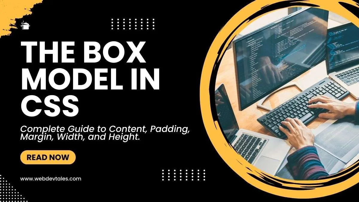 Box model in CSS